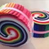 45 Piece Plain Rainbow Jelly Roll 1