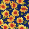Rose & Hubble - Sunflower Royal Blue CP0785